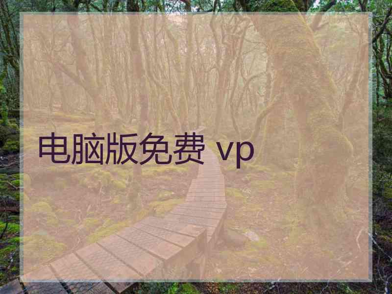电脑版免费 vp