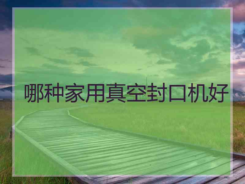 哪种家用真空封口机好