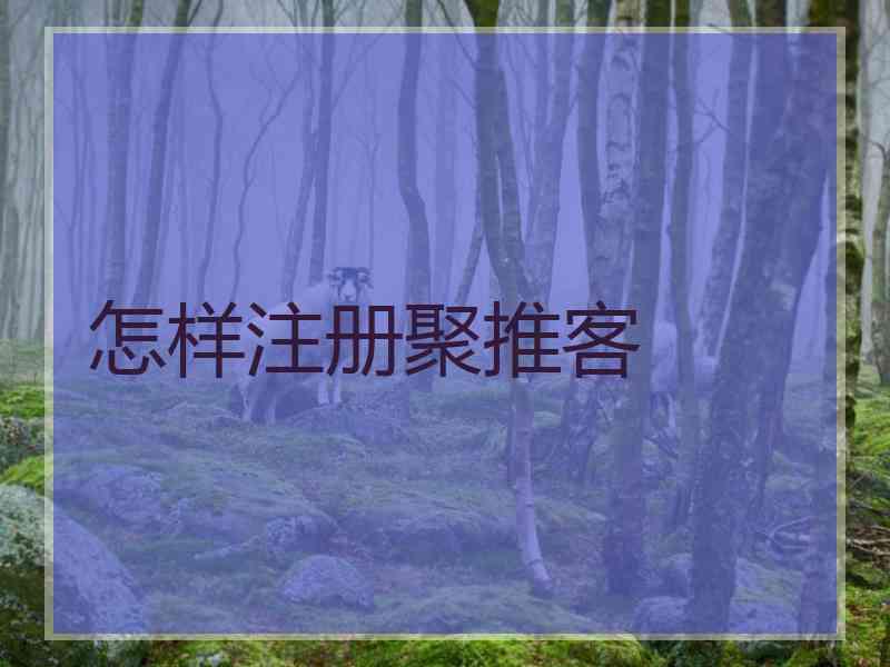 怎样注册聚推客