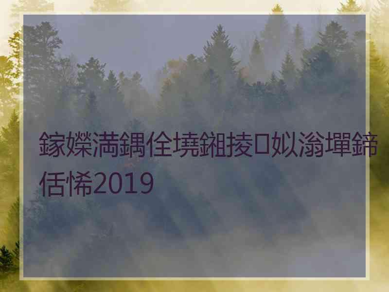 鎵嬫満鍝佺墝鎺掕姒滃墠鍗佸悕2019