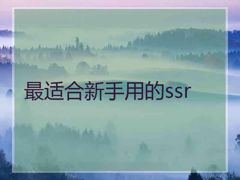 最适合新手用的ssr