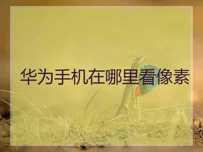 华为手机在哪里看像素