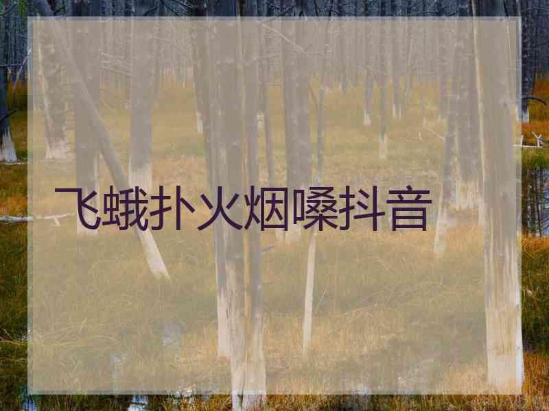 飞蛾扑火烟嗓抖音