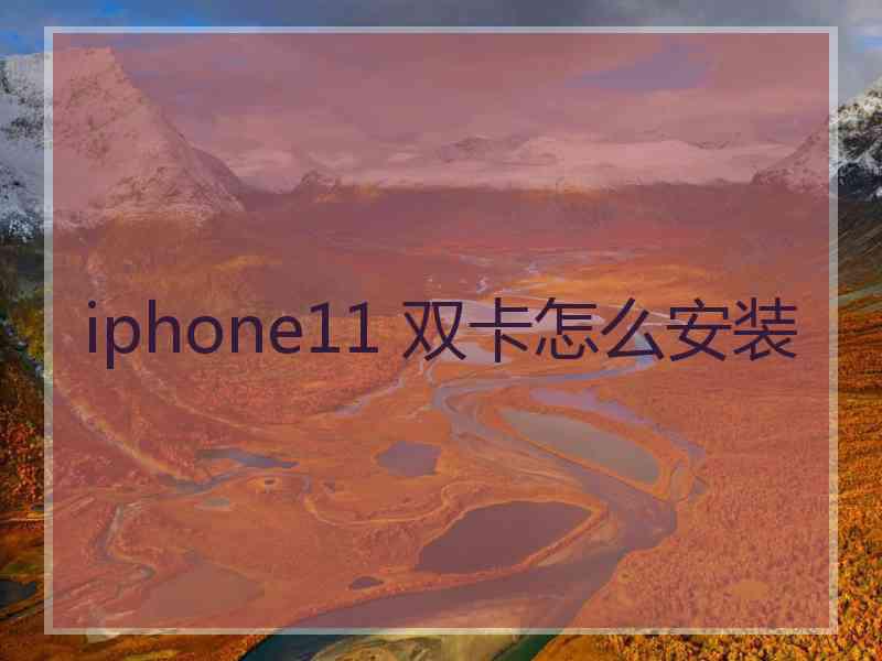 iphone11 双卡怎么安装