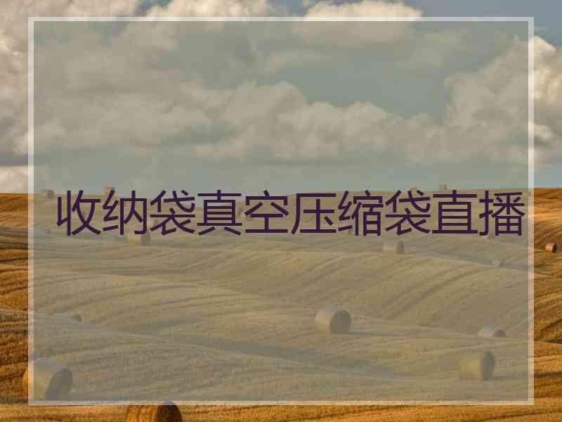 收纳袋真空压缩袋直播