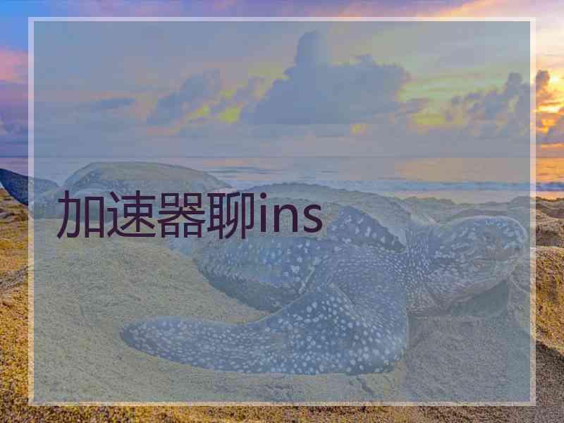 加速器聊ins