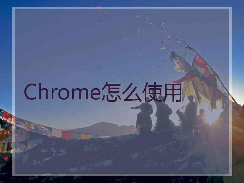 Chrome怎么使用