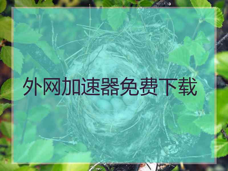 外网加速器免费下载
