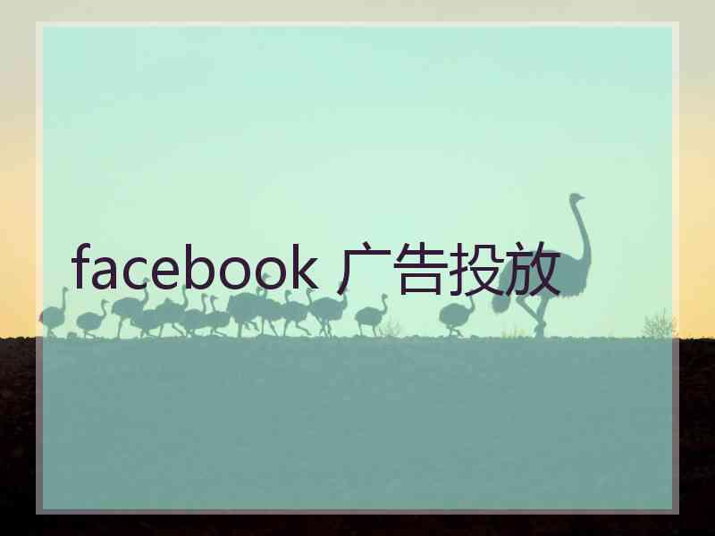 facebook 广告投放