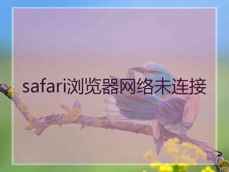 safari浏览器网络未连接