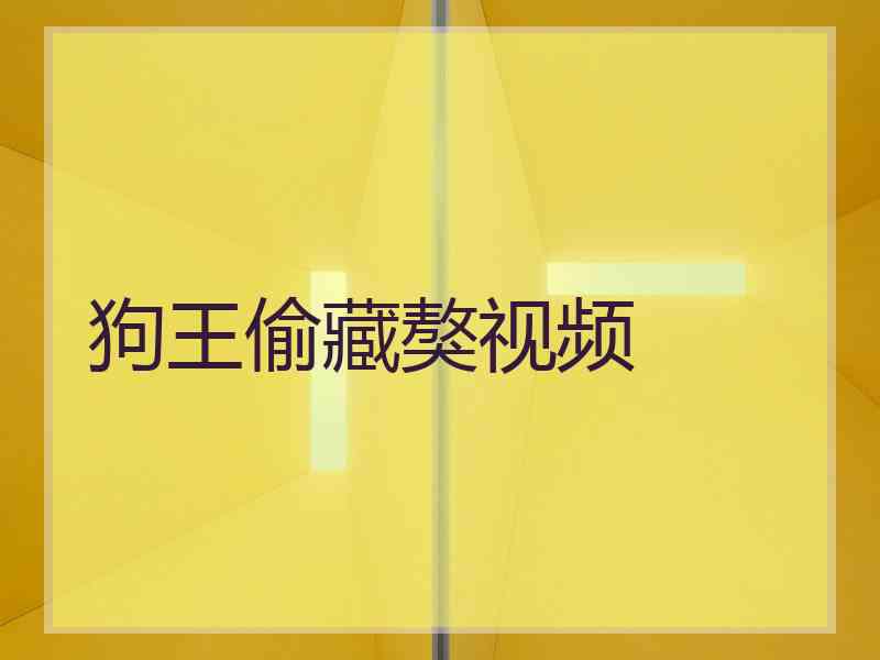 狗王偷藏獒视频