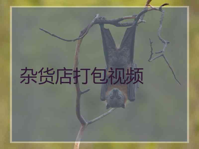 杂货店打包视频