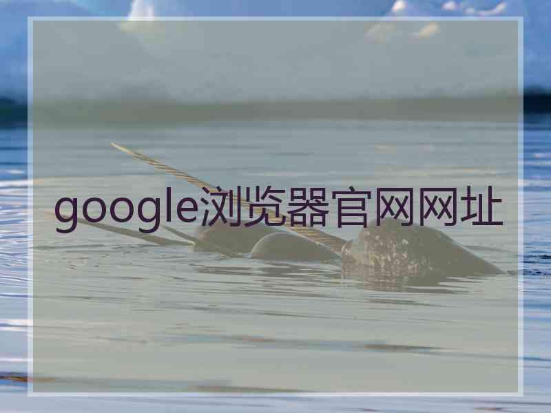 google浏览器官网网址