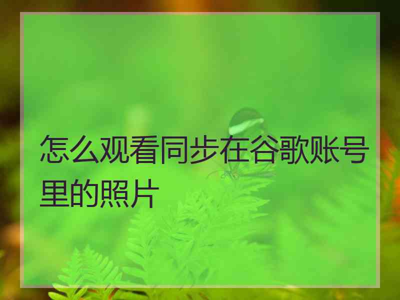 怎么观看同步在谷歌账号里的照片