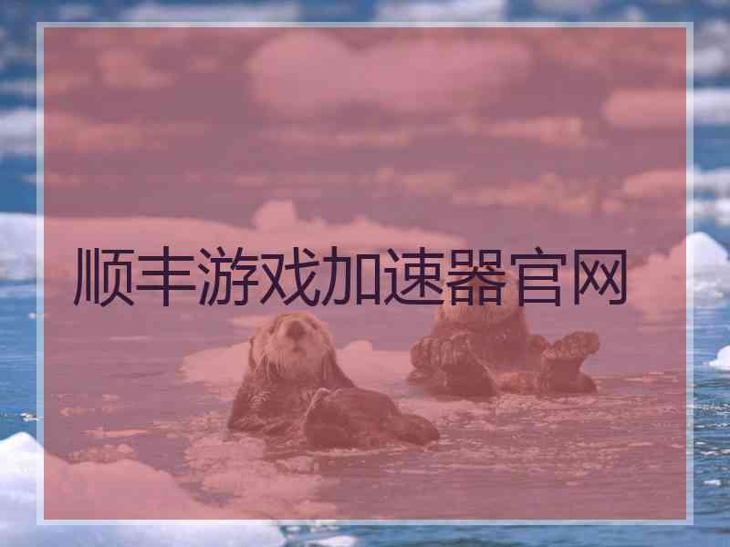 顺丰游戏加速器官网