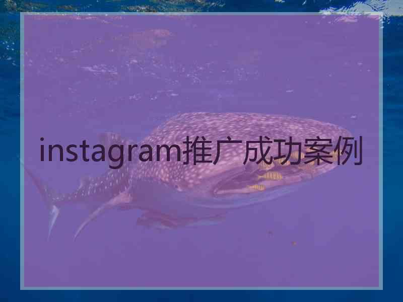 instagram推广成功案例