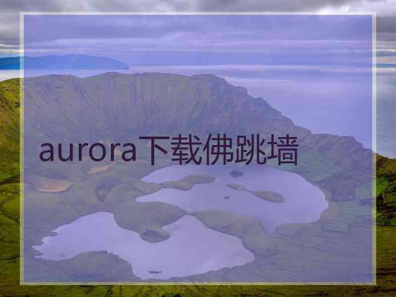 aurora下载佛跳墙