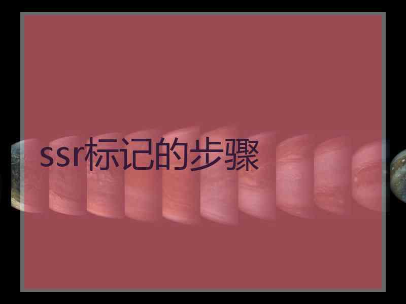 ssr标记的步骤