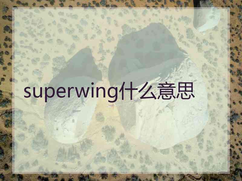 superwing什么意思