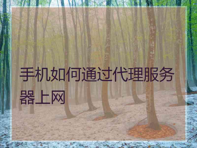 手机如何通过代理服务器上网