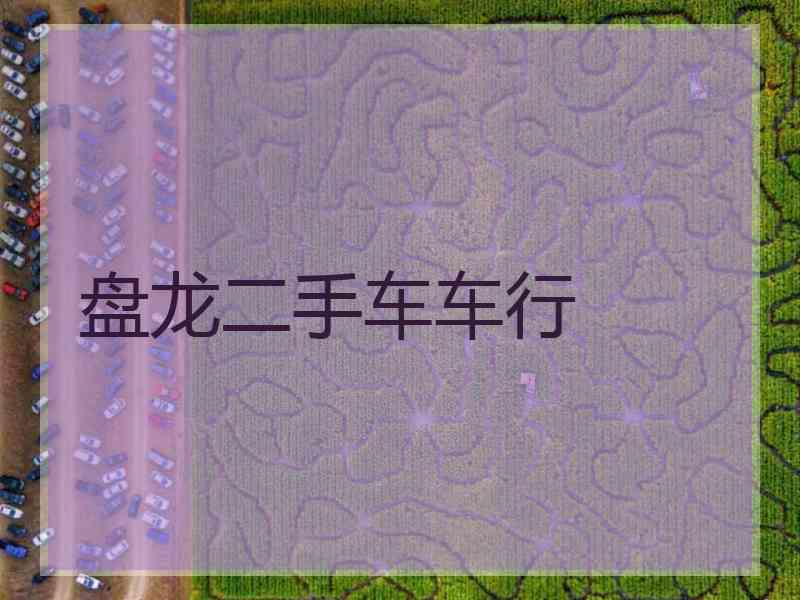 盘龙二手车车行