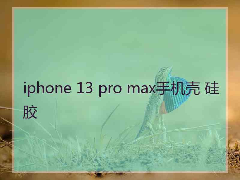 iphone 13 pro max手机壳 硅胶