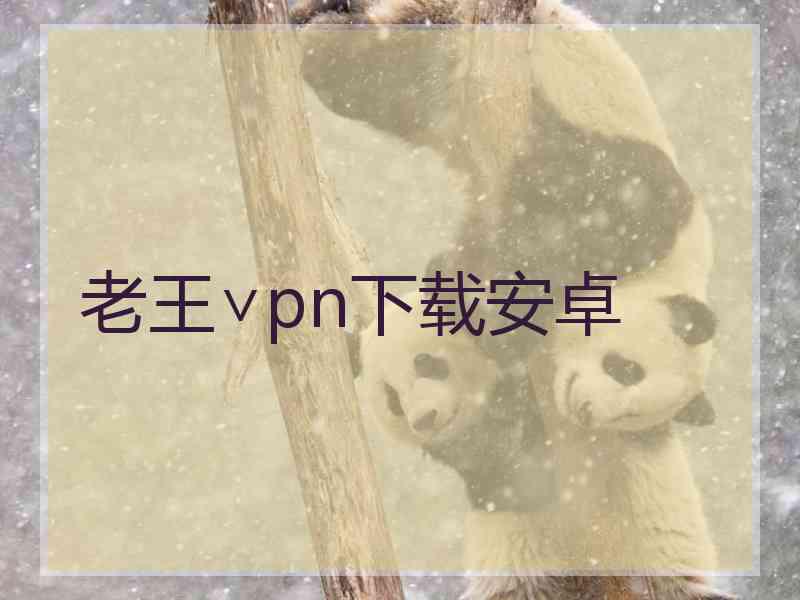 老王∨pn下载安卓