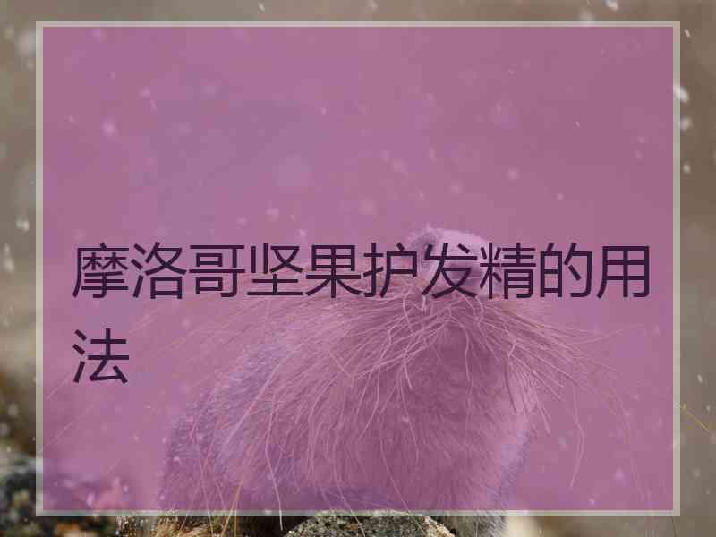 摩洛哥坚果护发精的用法