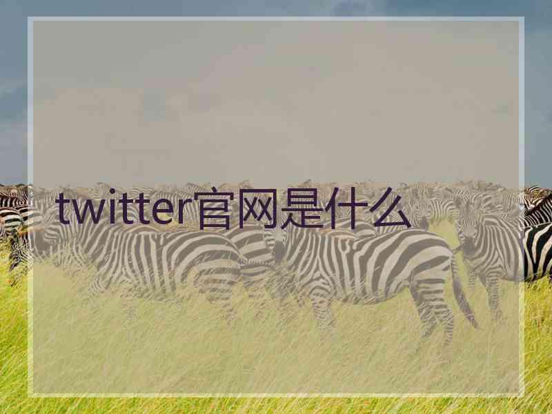 twitter官网是什么