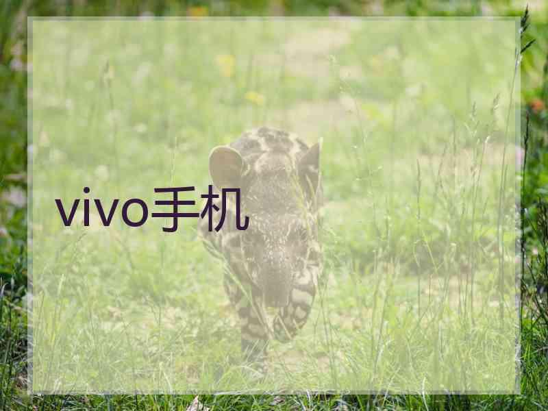 vivo手机