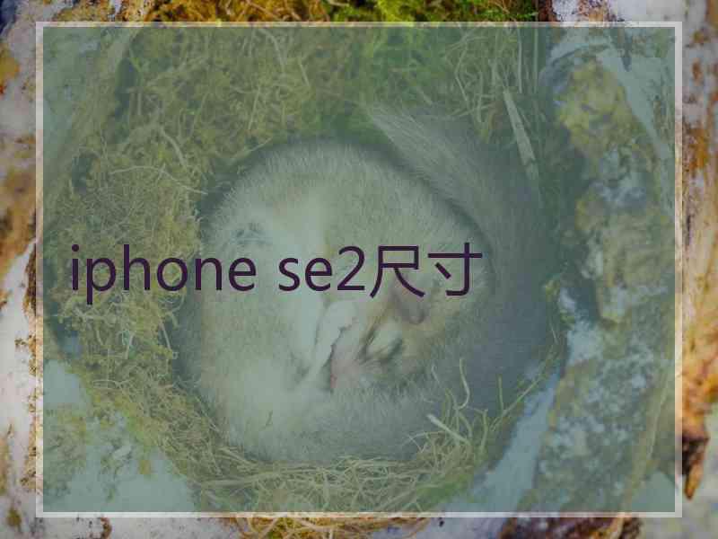 iphone se2尺寸