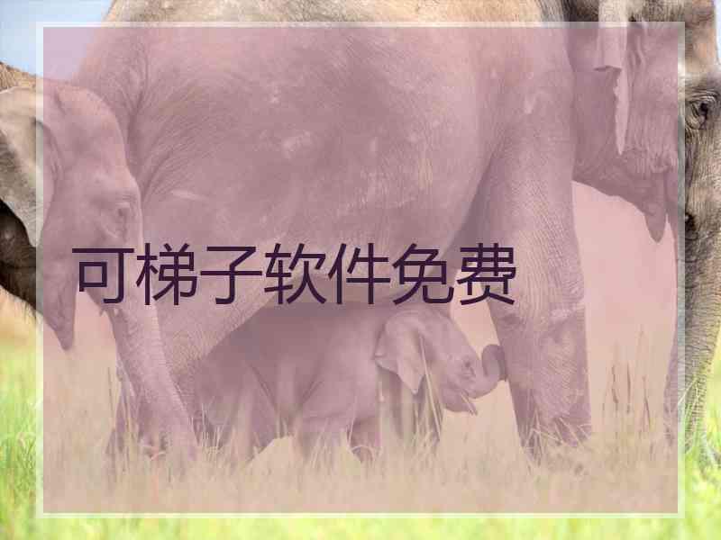 可梯子软件免费