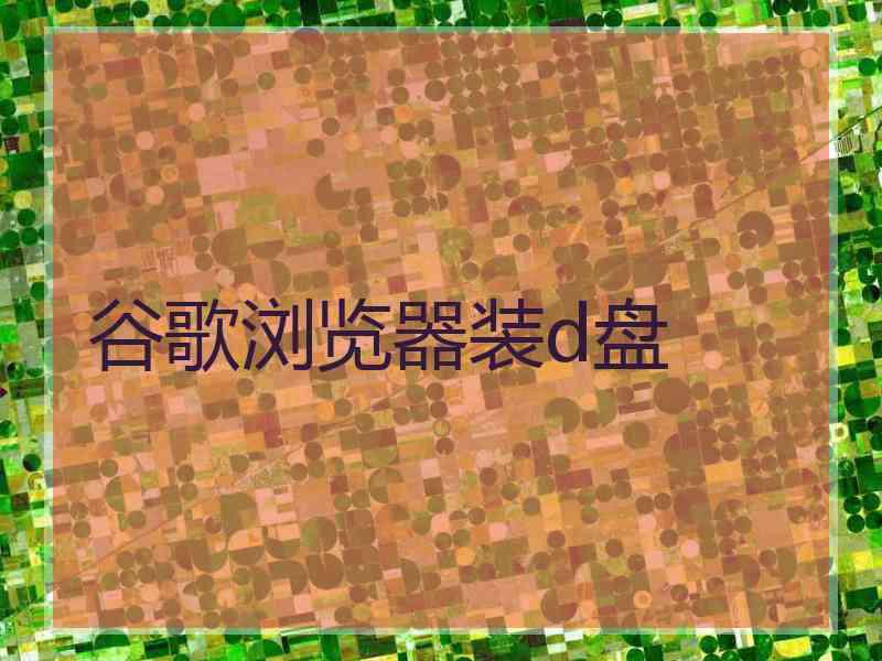 谷歌浏览器装d盘