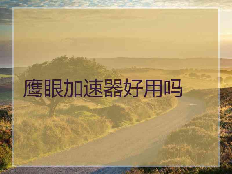 鹰眼加速器好用吗