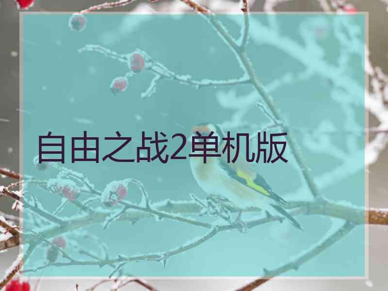 自由之战2单机版