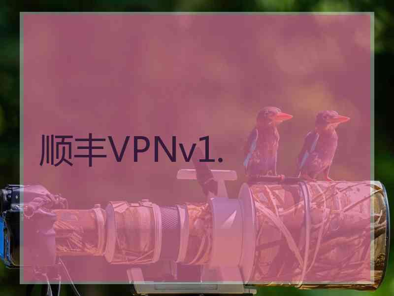 顺丰VPNv1.