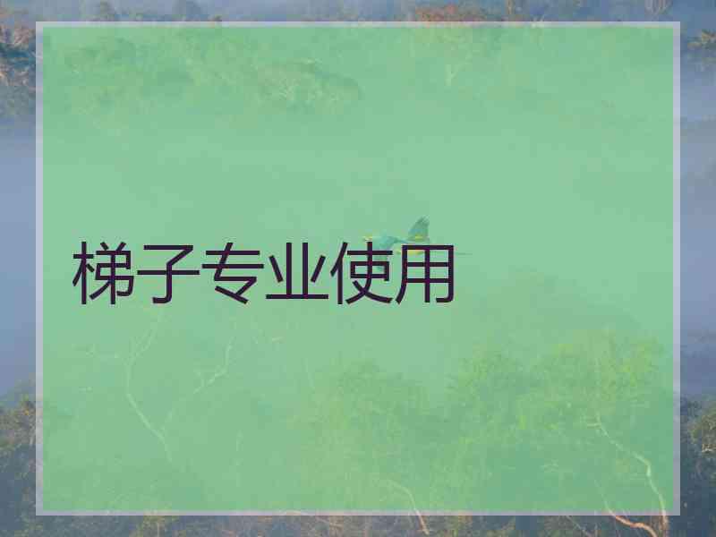 梯子专业使用