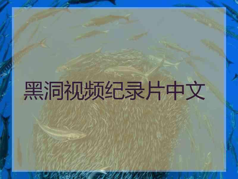 黑洞视频纪录片中文