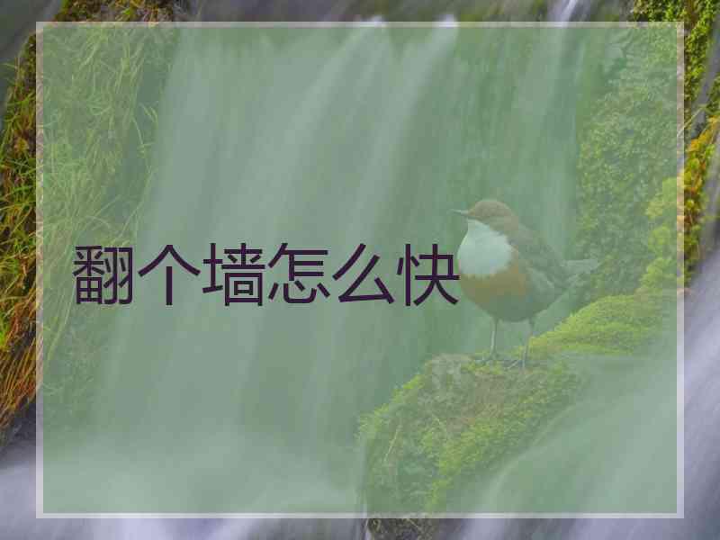 翻个墙怎么快
