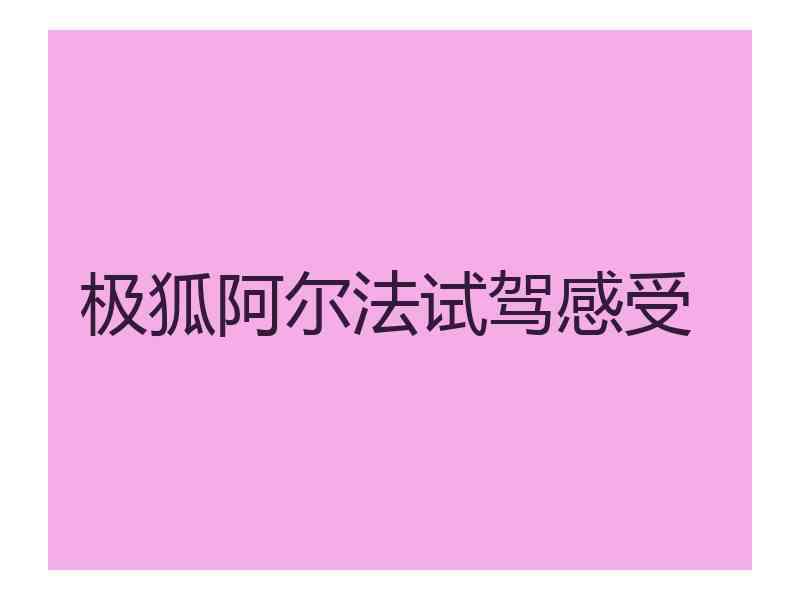 极狐阿尔法试驾感受