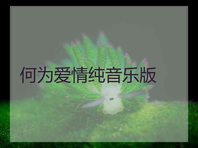 何为爱情纯音乐版