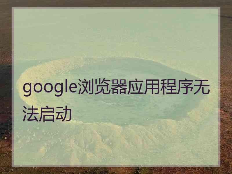 google浏览器应用程序无法启动