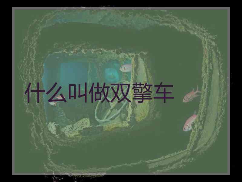 什么叫做双擎车