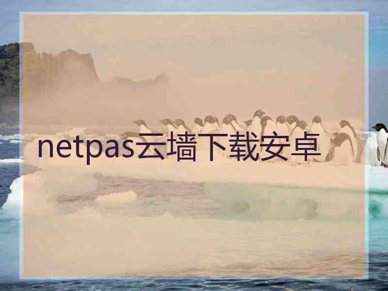netpas云墙下载安卓