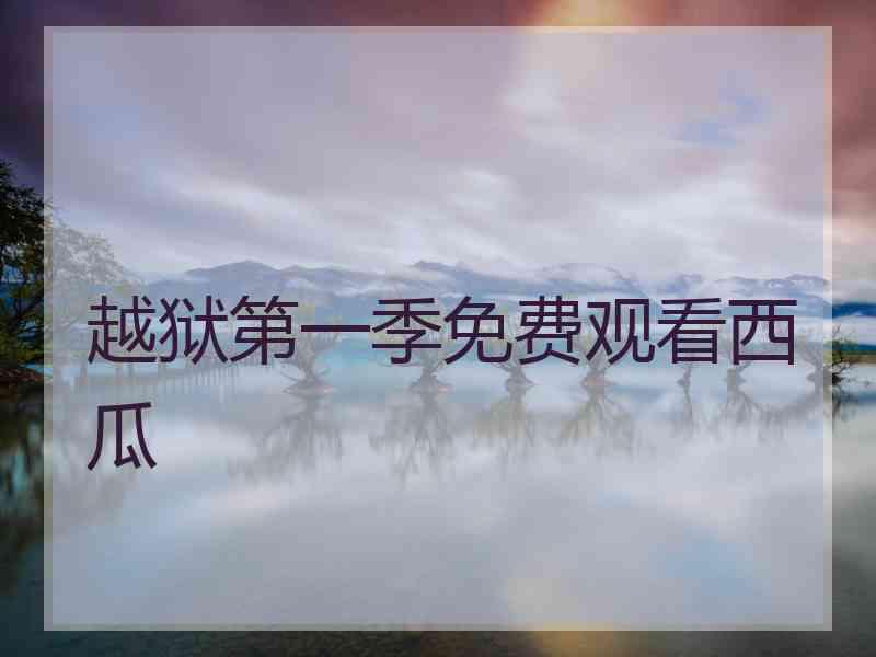 越狱第一季免费观看西瓜