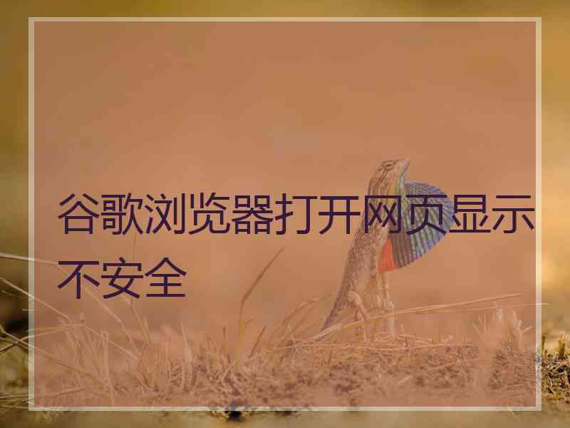 谷歌浏览器打开网页显示不安全