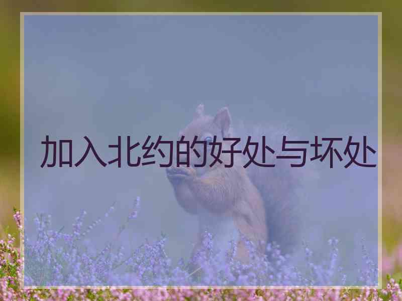 加入北约的好处与坏处