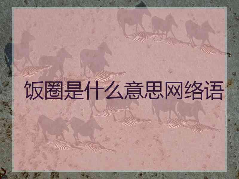 饭圈是什么意思网络语