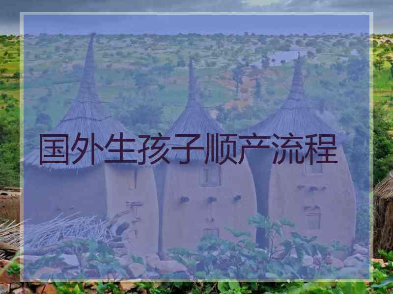 国外生孩子顺产流程