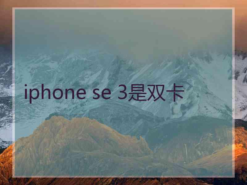 iphone se 3是双卡